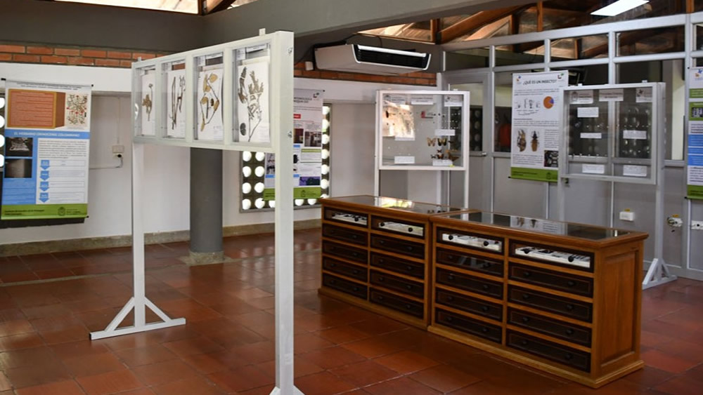 Aprecie la biodiversidad colombiana en las colecciones biológicas de la Sede Orinoquia