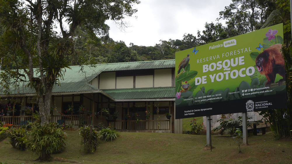 Conéctese con la academia y los sentidos en los Bosques de Yotoco de la Sede Palmira